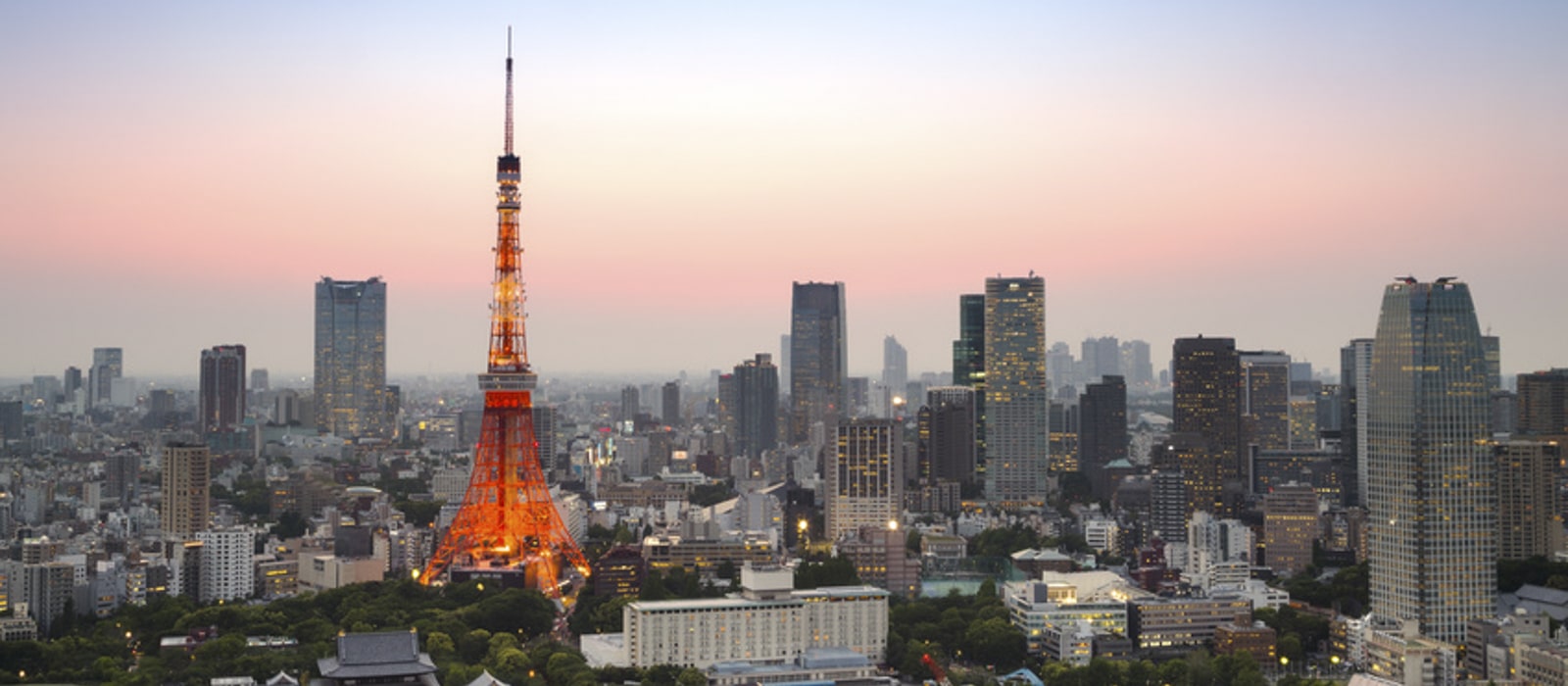Voyage organisé en petit groupe - Tokyo - Japon - Agence de voyage Les Routes du Monde