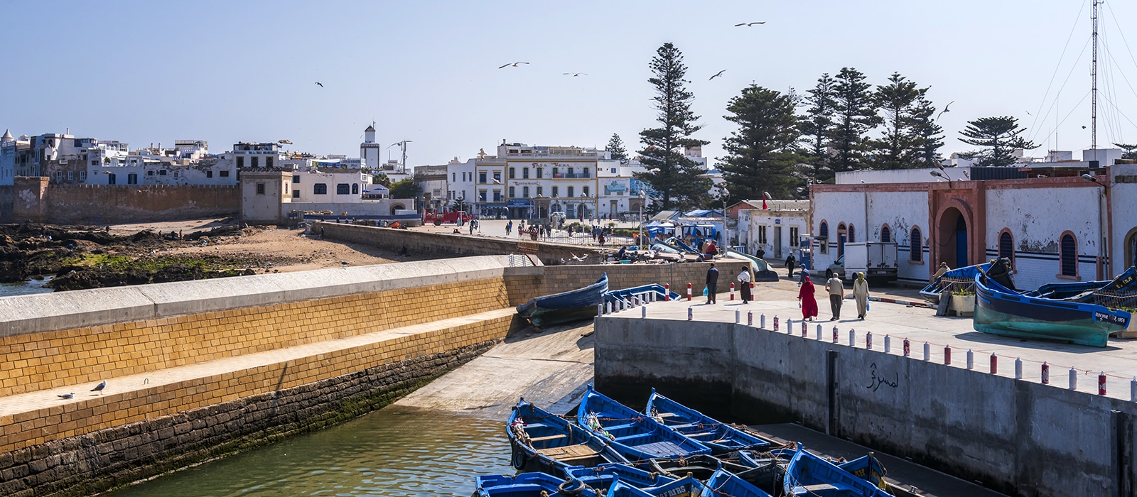 Voyage organisé en petit groupe - Essaouira - Maroc - Agence de voyage Les Routes du Monde