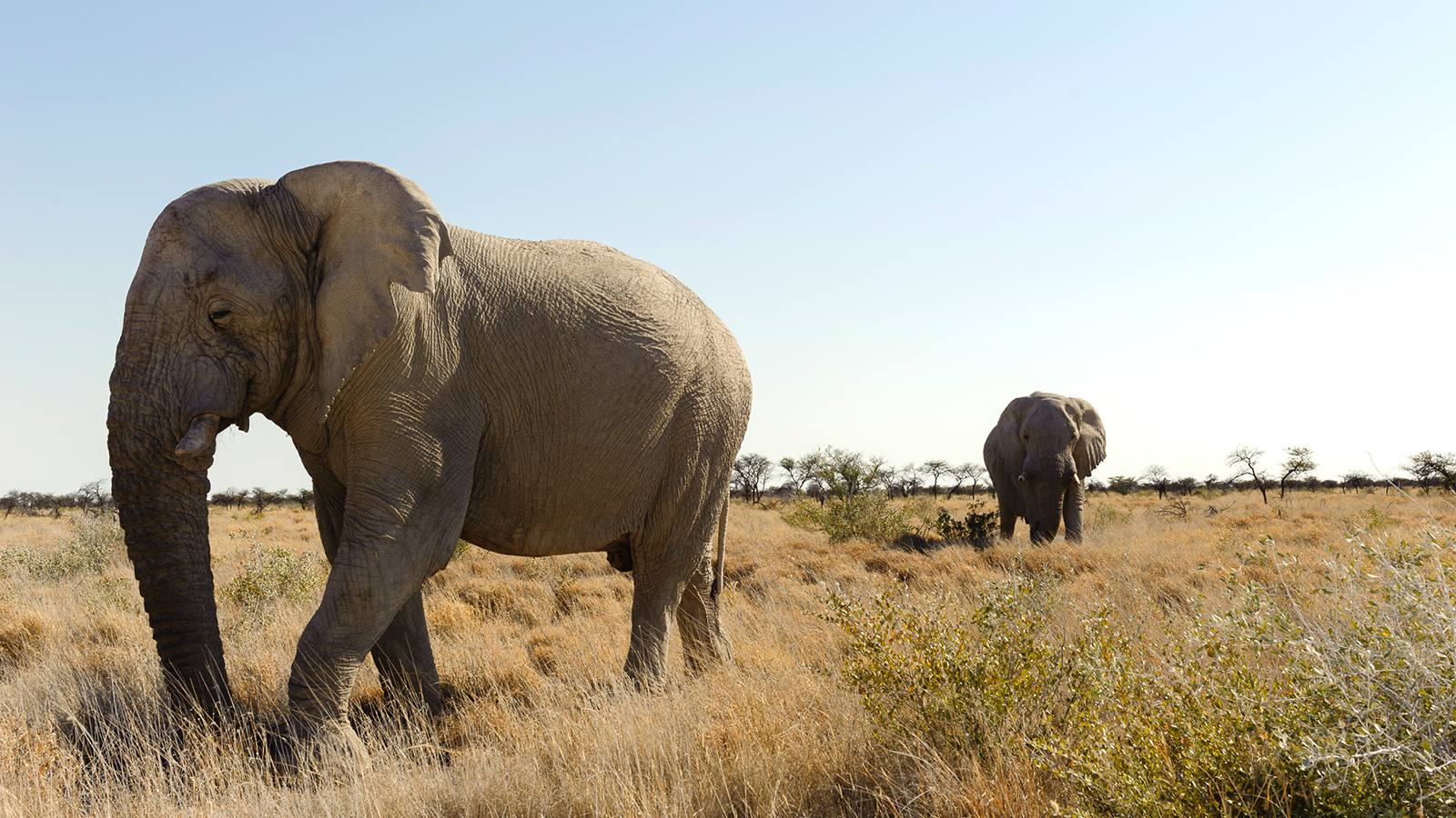 Voyage organisé en petit groupe - safari - Namibie - Agence de voyage Les Routes du Monde
